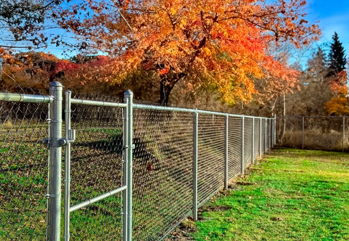 Chain Link Fencing 1