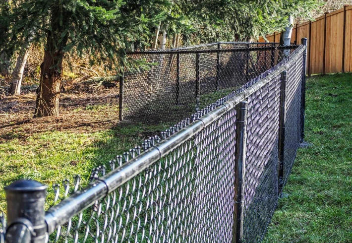 Chain Link Fencing
