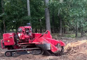 Stump Grinding