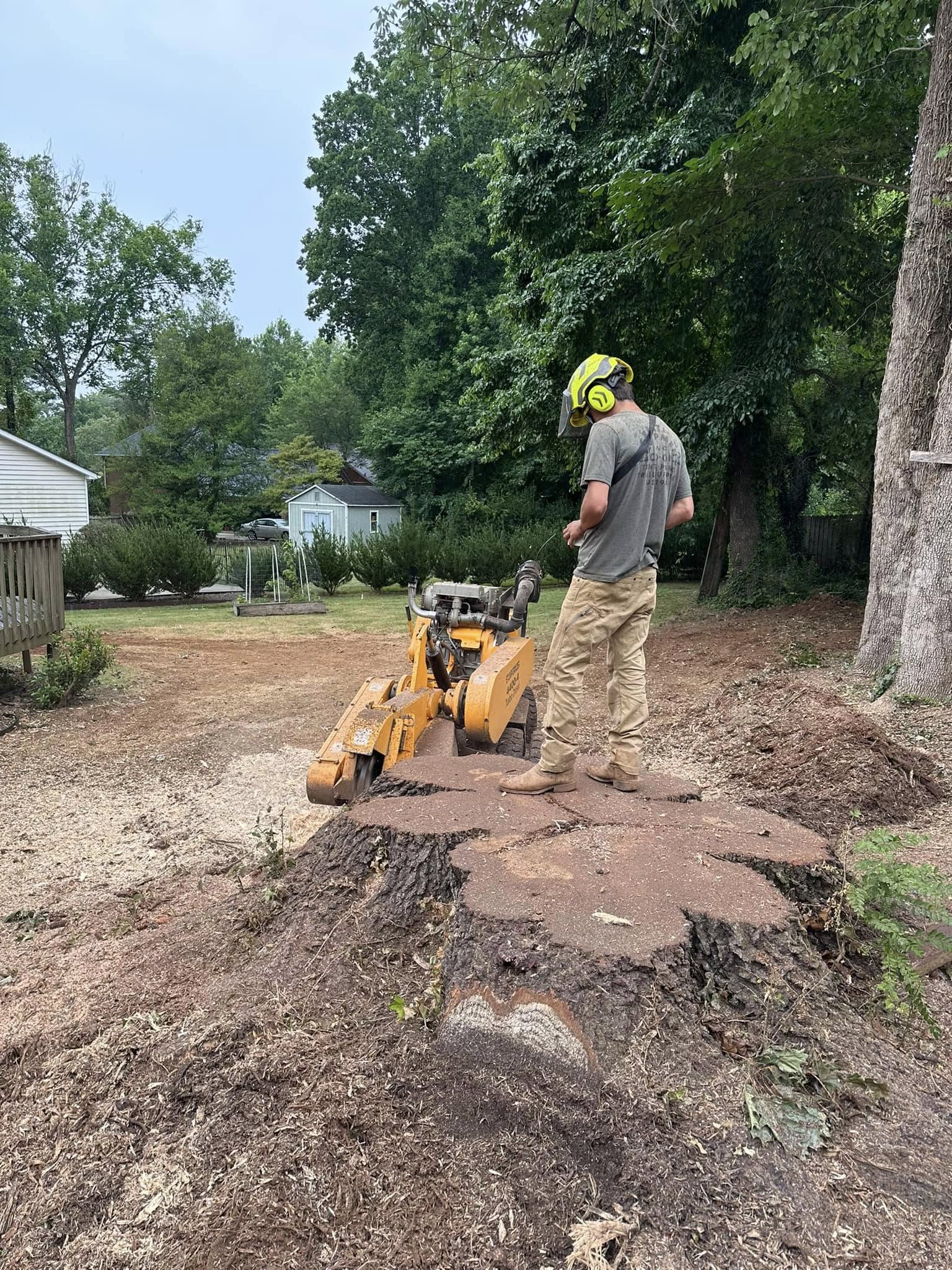Stump Grinding